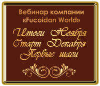 Вебинар. Итоги Ноября. Старт Декабря. Первые шаги.