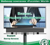 Вебинар 16 ноября 2017 года. "Бизнес. Большие объявления"