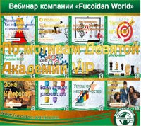Вебинар 28 ноября 2017 года. "По мотивам Девятой Академии VIP"
