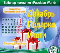 Вебинар 7 декабря 2017 года. "Декабрь. Подарки. Итоги"