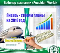 Вебинар 25 января 2018 года. "Январь - строим планы на 2018 год"