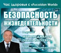 Вебинар "Час Здоровья" "Безопасность жизнедеятельности" 17 января 2017 года