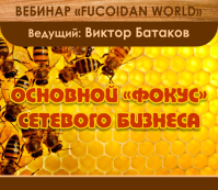 Вебинар 25 августа 2016. "Основной "фокус" сетевого бизнеса"
