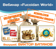 Вебинар. Увеличиваем доходы. Используем промоушены Января