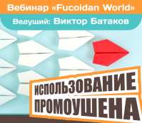 Вебинар 28 апреля 2016. "Использование промоушена"