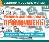 Вебинар 27 октября 2016. "Умение использовать промоушены"