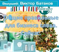 Вебинар 15 декабря 2016 года. "Общие правильные для бизнеса слова. Сейчас"