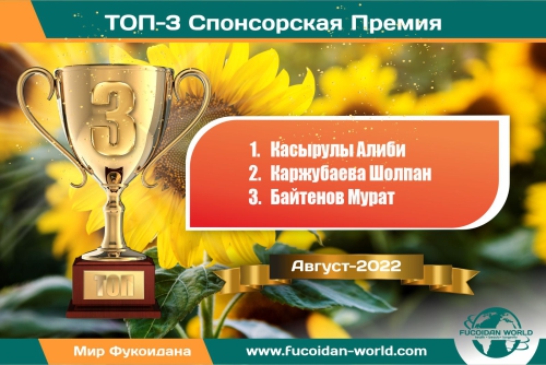 Наши достижения за Август-2022