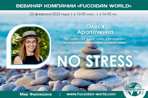 Вебинар 23 февраля 2023 года. «No stress»
