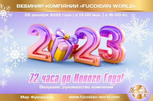 Вебинар 29 декабря 2022 года. «72 часа до Нового Года!»