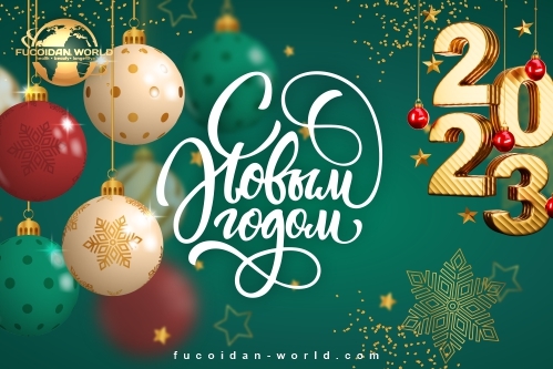 С Новым Годом, Партнёры компании Мир Фукоидана!
