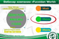 Вебинар 7 июня 2018 года. "Шестой месяц года"