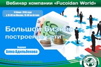 Вебинар 14 июня 2018 года. "Большой Бизнес - построение сети"