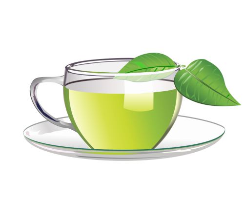 Катехины зеленый чай