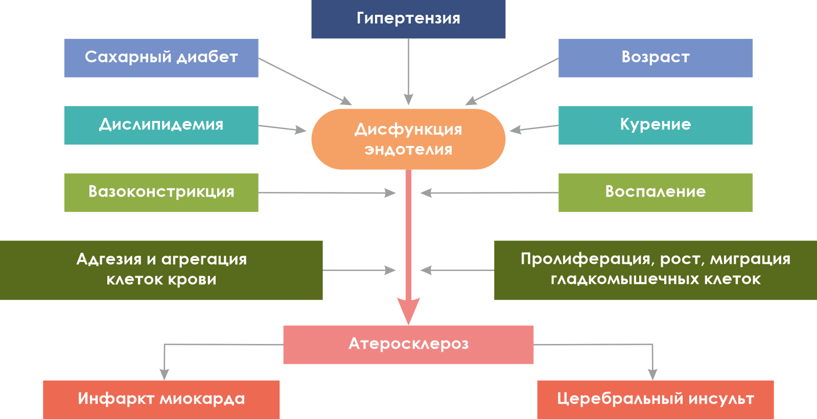 Эндотелиальная дисфункция