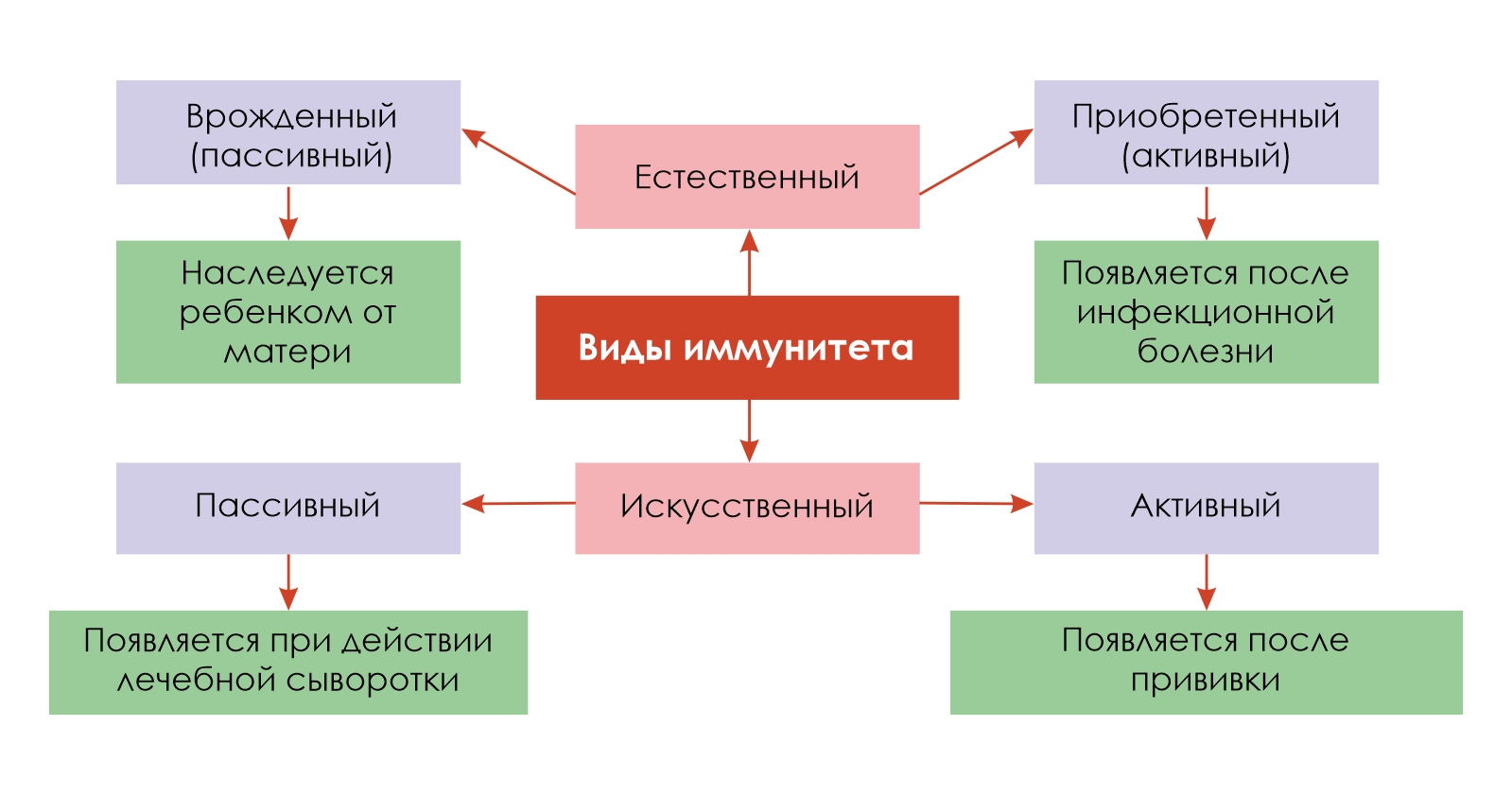 Виды иммунитета