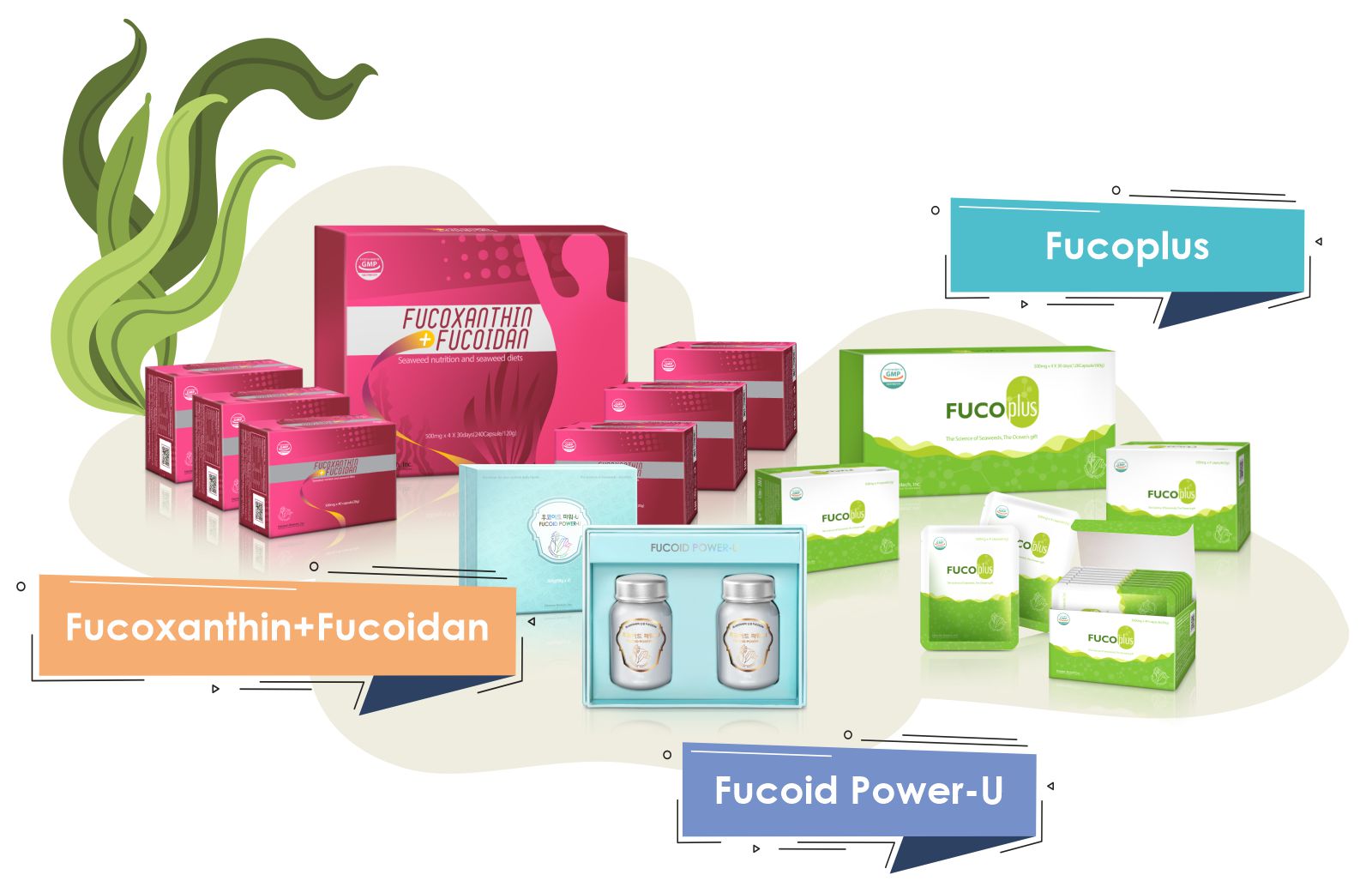 Продукты с фукоиданом Fucoid Power-U, Fucoxanthin + Fucoidan, Fucoplus