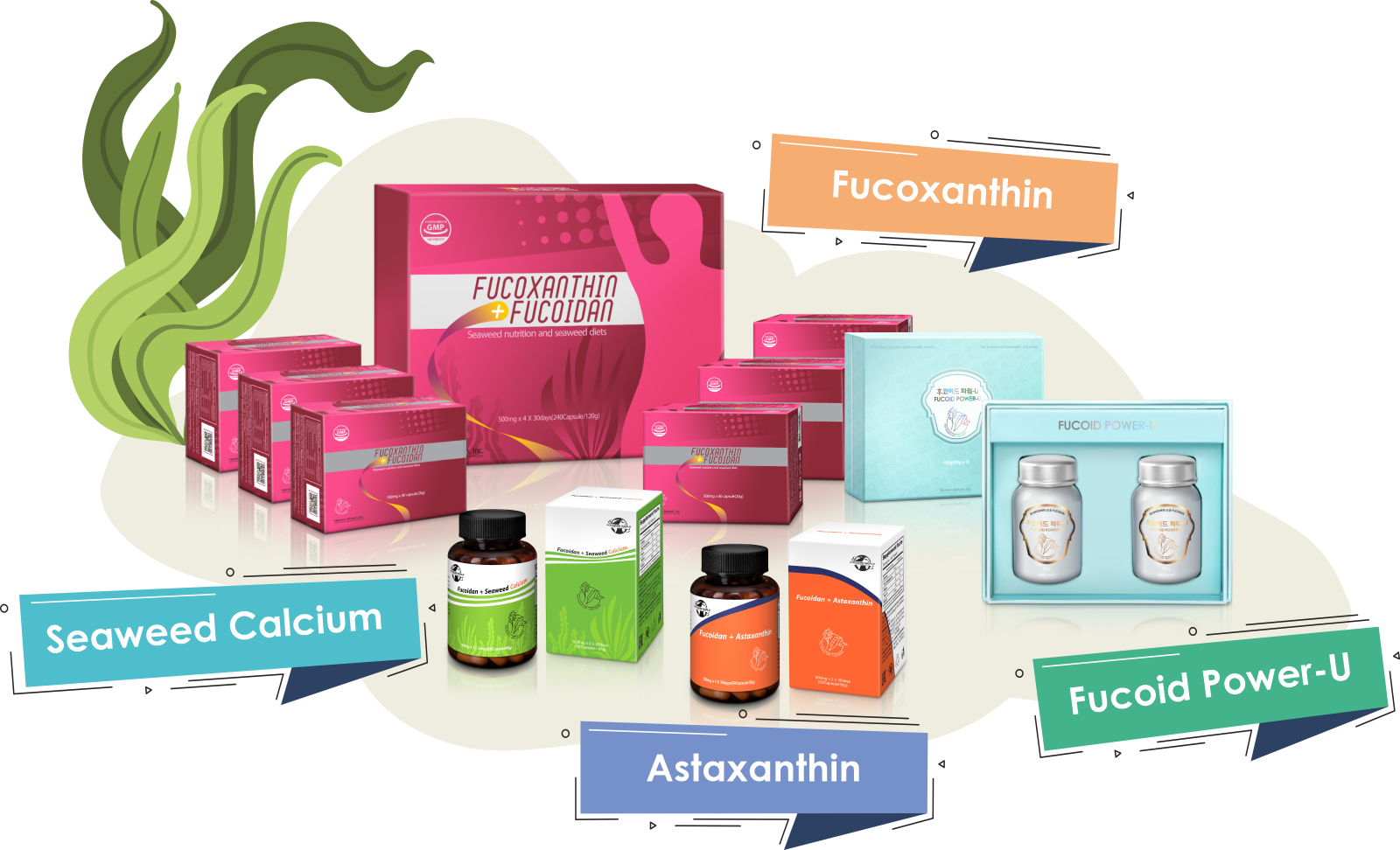 Продукты с фукоиданом Fucoxanthin + Fucoidan, Fucoid Power-U, Fucoidan + Seaweed Calcium, Fucoidan + Astaxanthin