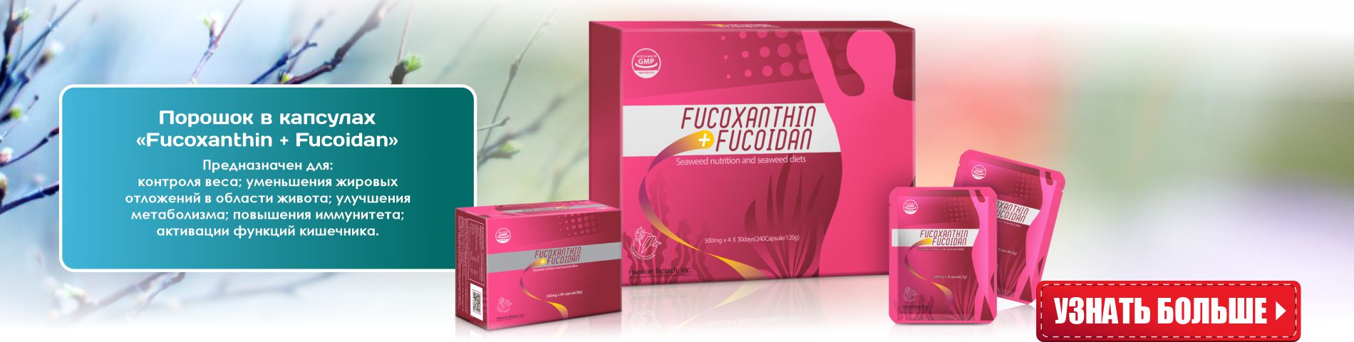 Продукт с фукоиданом и фукоксантином Fucoxanthin + Fucoidan