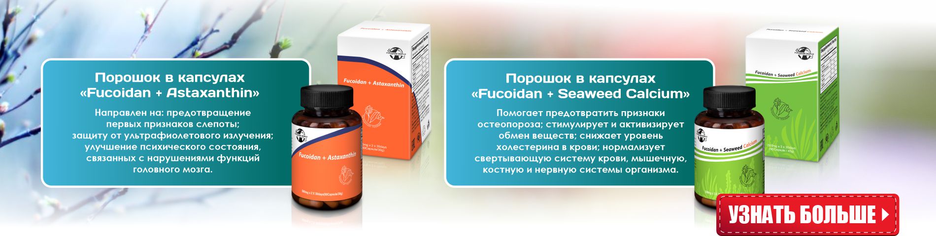 Продукт с фукоиданом, астаксантином Fucoidan + Astaxanthin, продукт с фукоиданом, кальцием Fucoidan + Seaweed Calcium