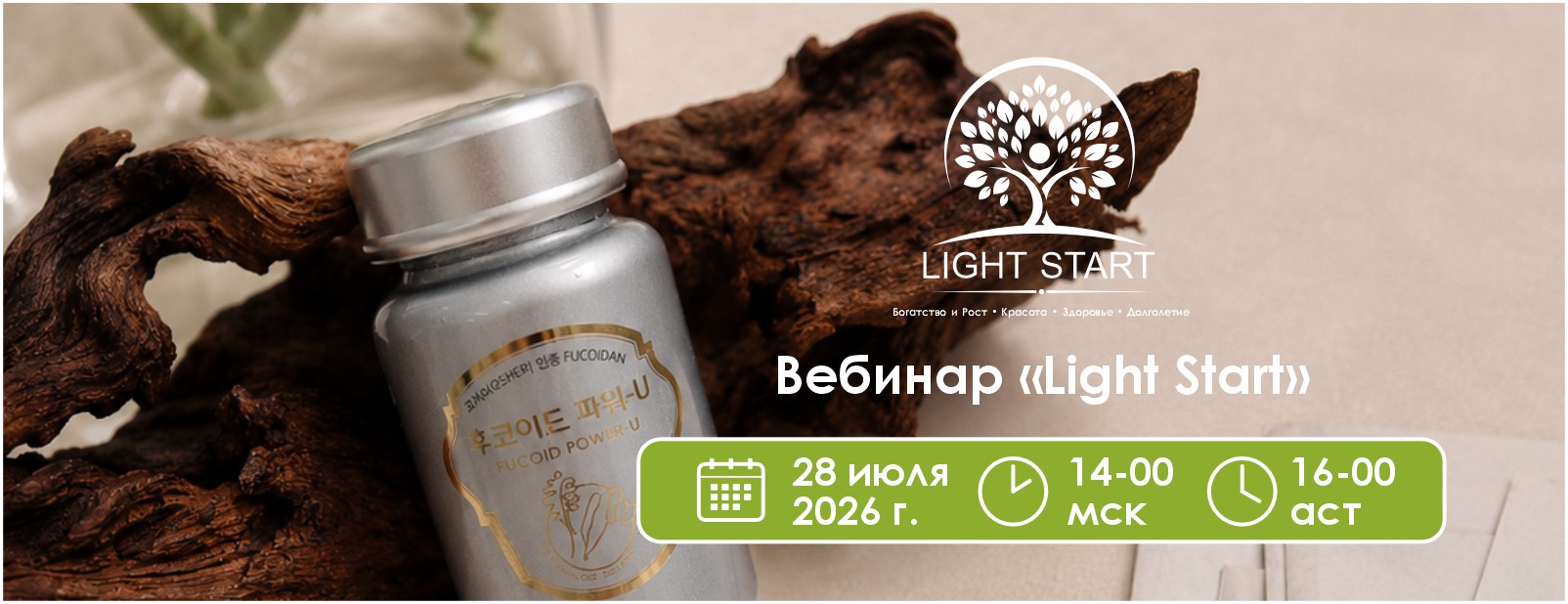 Вебинар «Light Start»