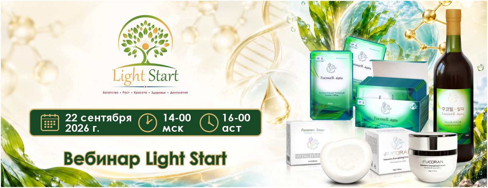 Презентация «Light Start», фото Татьяны Куриленко