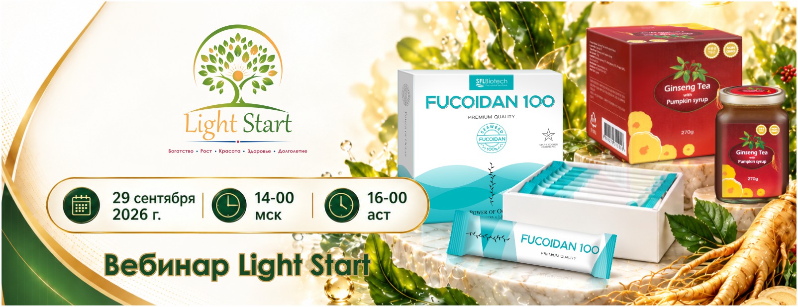 Презентация «Light Start», фото Татьяны Куриленко